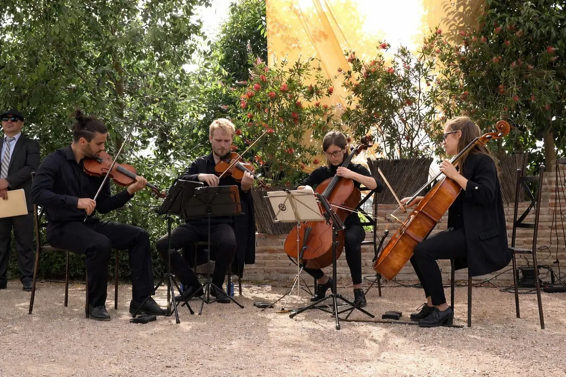 Cuarteto de cuerda de SolFaMi actuando al aire libre